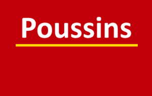 Poussins 2023-2024