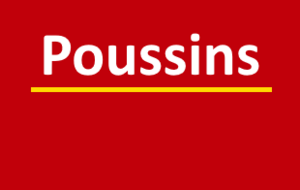 Poussins 2024-2025